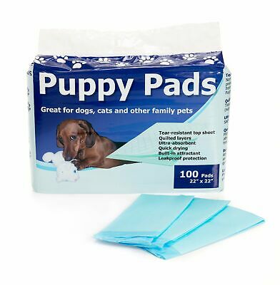 Puppy Training Pad Heavy Absorbency 22 X 22" From Cypress Tp2222b 100 Ct