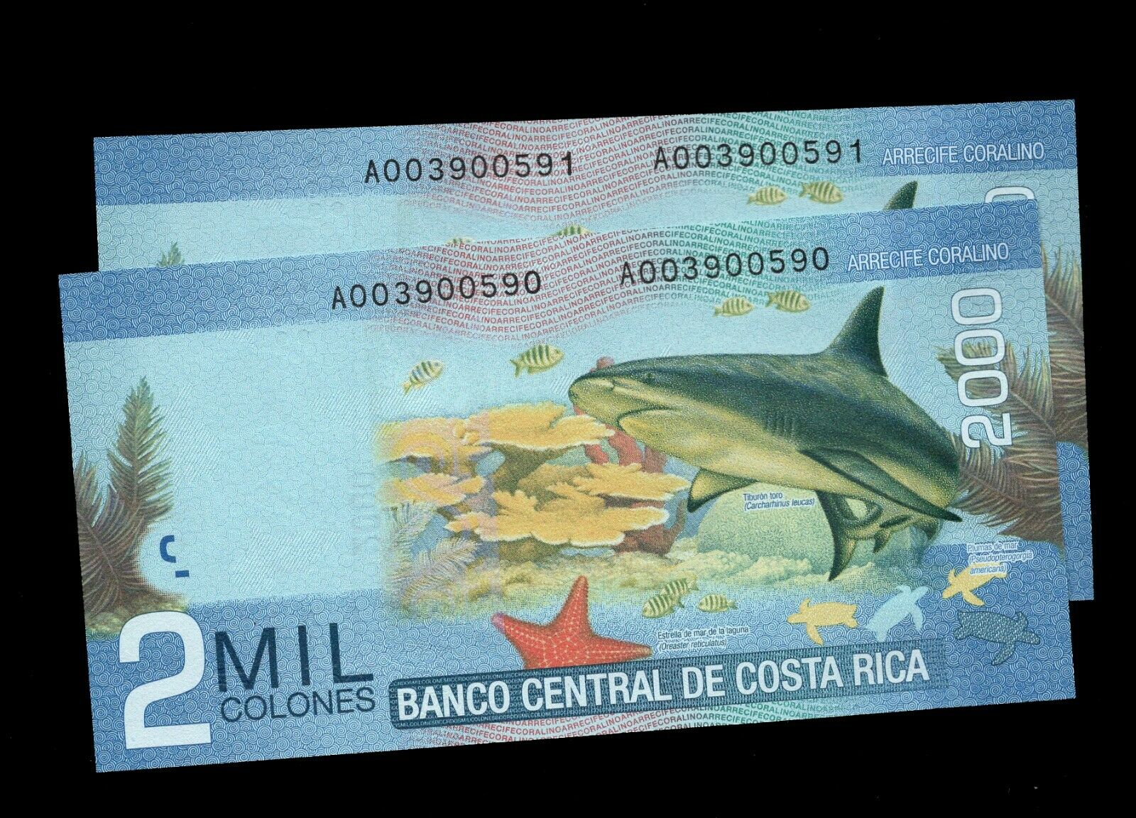 Pair 2 Pcs Lot Costa Rica 2,000 Colones P-275a 02.09.2009 Banknote Unc
